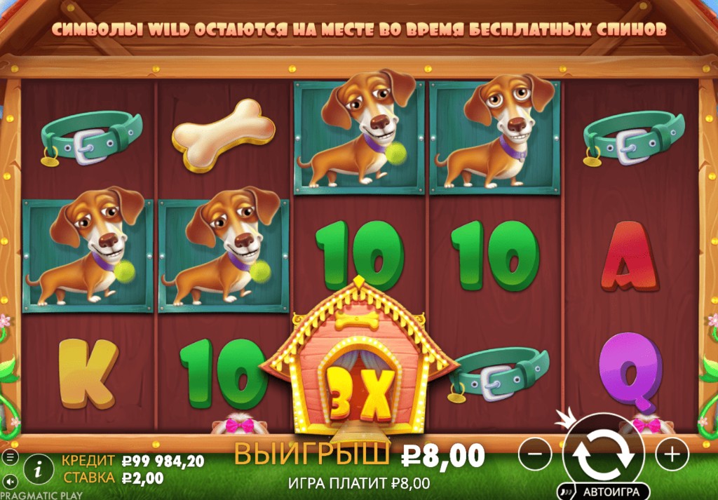 Dog House ronda bonus con símbolos scatter